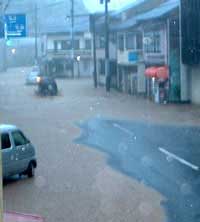 ���������H��