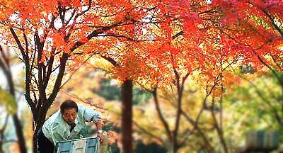 ���c��������Ƃ��݂�