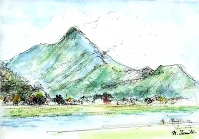 ���E�����̓���R