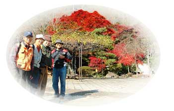 ��➌����򐅑O�ɂ�