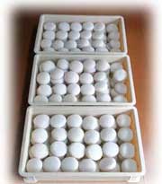 ���Ԋe��l�܏��i��200�j�̖݂�p��