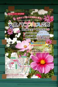 �R�X���X�܂�|�X�^�[