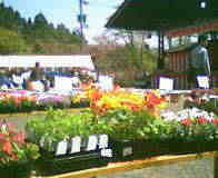 �t�����[������