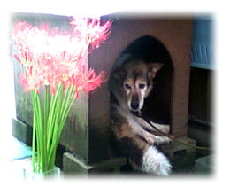 �����@�����@����