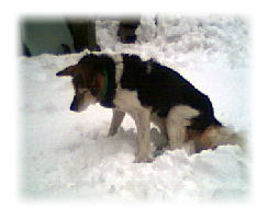 �E�[�@�T���[�@���