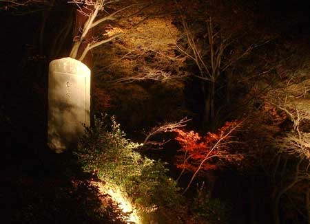 �N���b�N�ő傫�ȉ摜