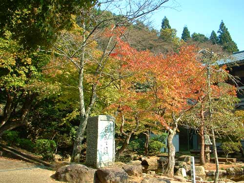 �Q�O�O�U�N�P�P���T��