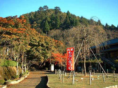 �Q�O�O�U�N�P�P���X��