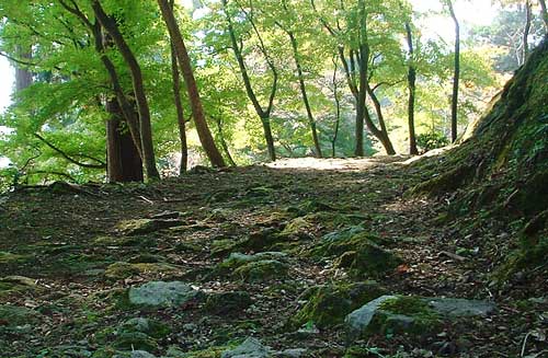 �Q�O�O�U�N�P�P���T��