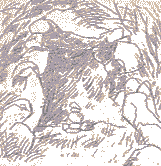 �J�o�J�T�}