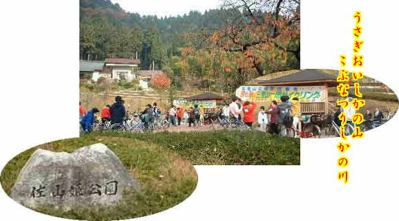 �T�C�N�����O