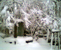 ���������̂Ȃ�