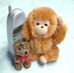 ���܂���@���邳��