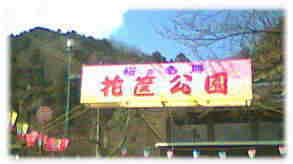 �������Ȃڂ�ڂ�