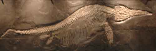 �C�N�`�I�U�E���X